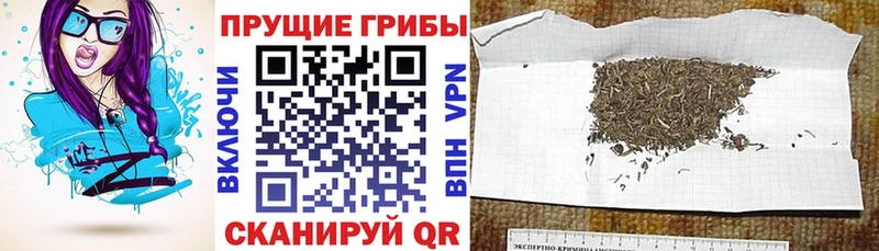 купить наркотики цена Тюкалинск Галлюциногенные грибы мухоморы